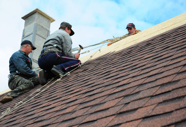 Best Metal Roofing Contractor  in Guernsey, WY